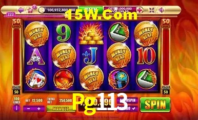 Ofertas Exclusivas Pg113