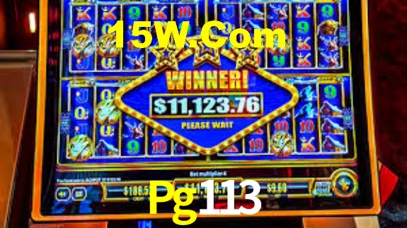 Premium Interface Pg113