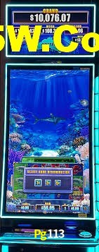 Game Providers Pg113