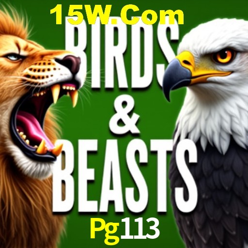 Apostas Esportivas na Pg113: Um Guia Completo